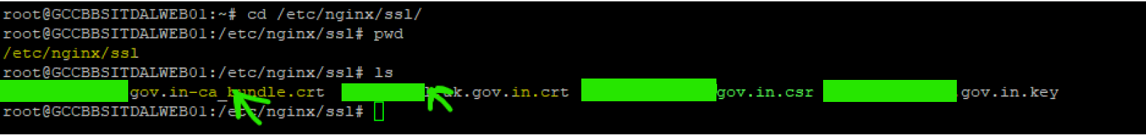 Obtain the SSL Certificate