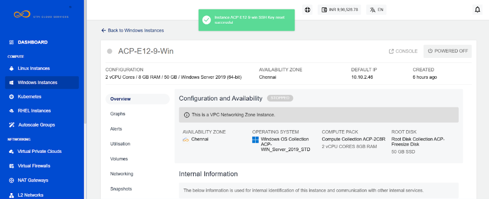 Viewing Details of Windows Instances