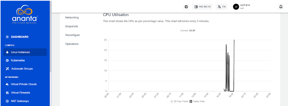 Viewing Graphs and Utilization of Linux Instances